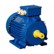 Електродвигун асинхронний АІР63В4 0,37 кВт 1500 об / хв ІМ 1081
