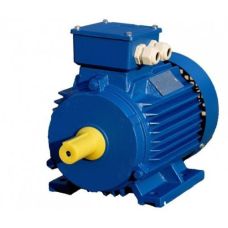 Електродвигун асинхронний АІР250М2 90 кВт 3000 об / хв ІМ 1081